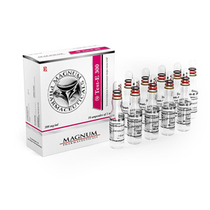 Testosterone enanthate in USA: low prices for Magnum Test-E 300 in USA