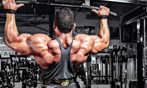15 modi inauditi per ottenere una maggiore forum steroidi